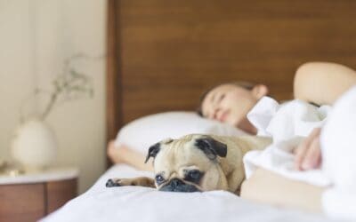 5 Sleep Hygiene Practices to Follow